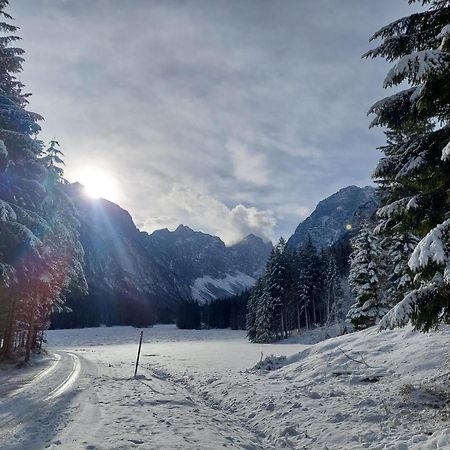 Apartmaji Volf Zgornje Gorje ภายนอก รูปภาพ