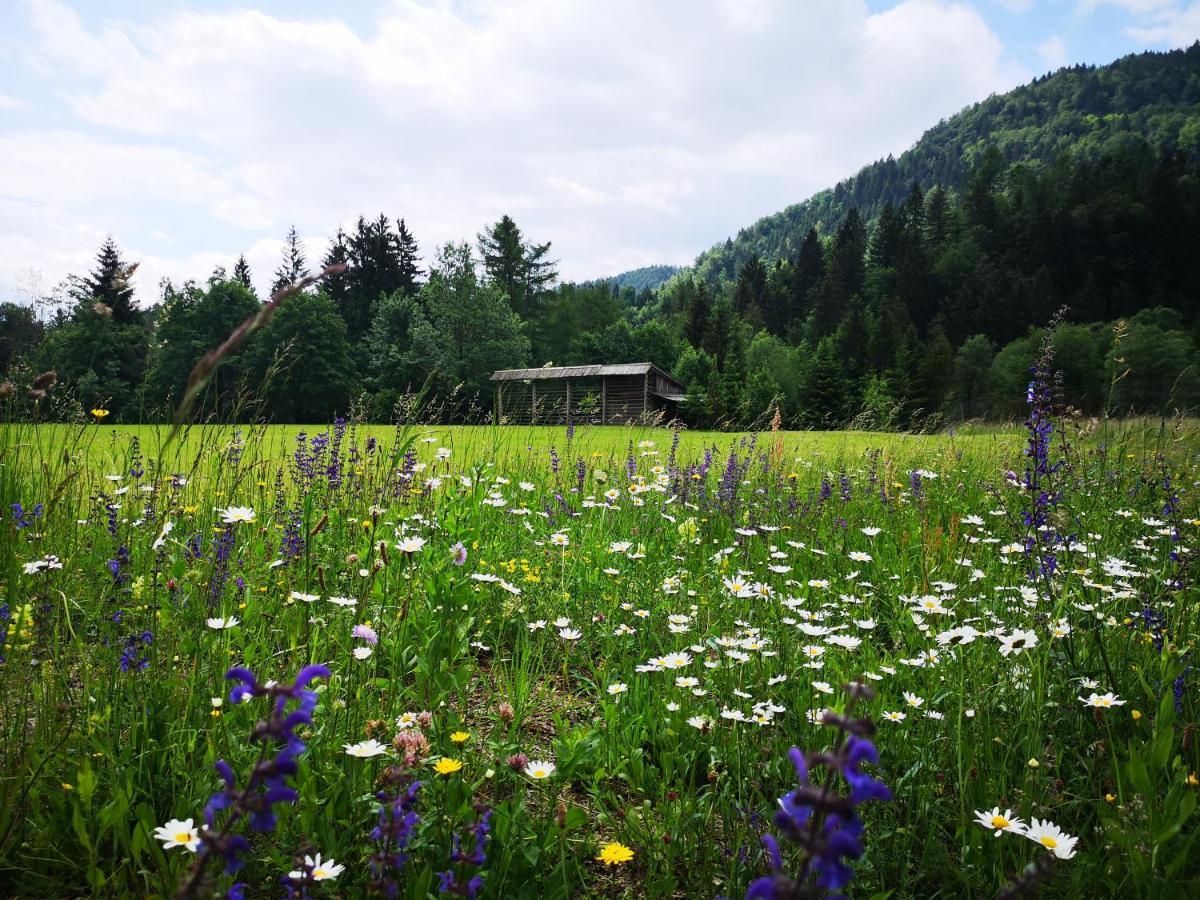 Apartmaji Volf Zgornje Gorje ภายนอก รูปภาพ