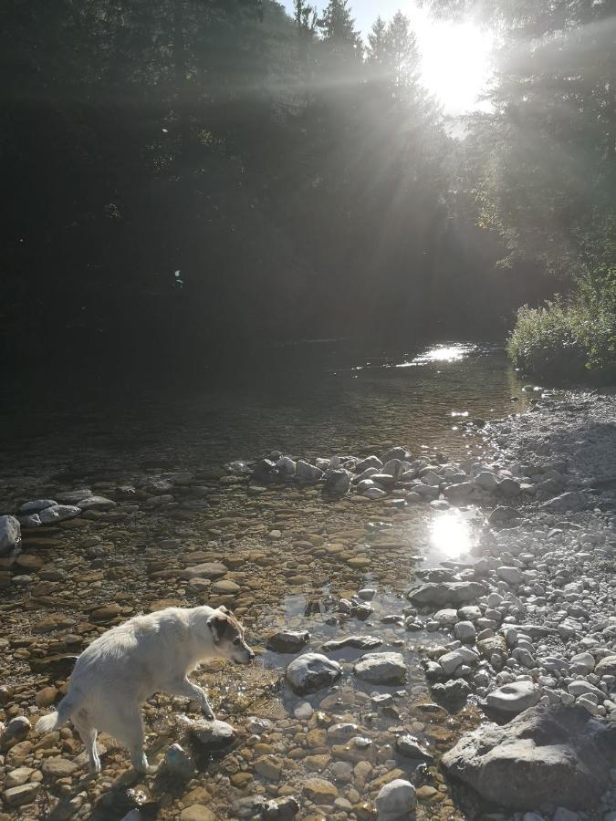 Apartmaji Volf Zgornje Gorje ภายนอก รูปภาพ