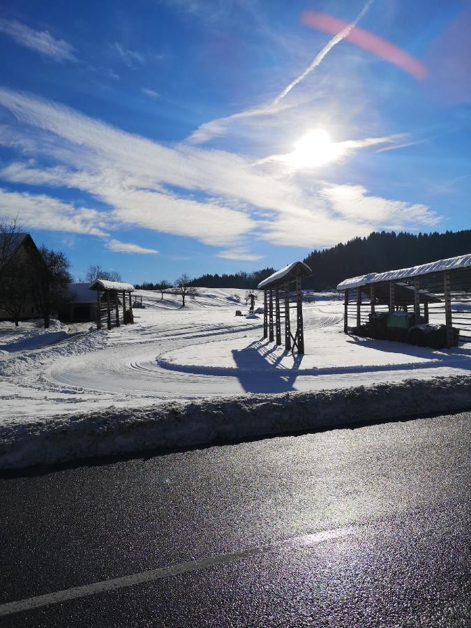 Apartmaji Volf Zgornje Gorje ภายนอก รูปภาพ