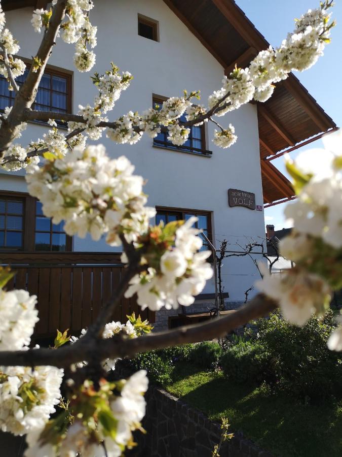Apartmaji Volf Zgornje Gorje ภายนอก รูปภาพ