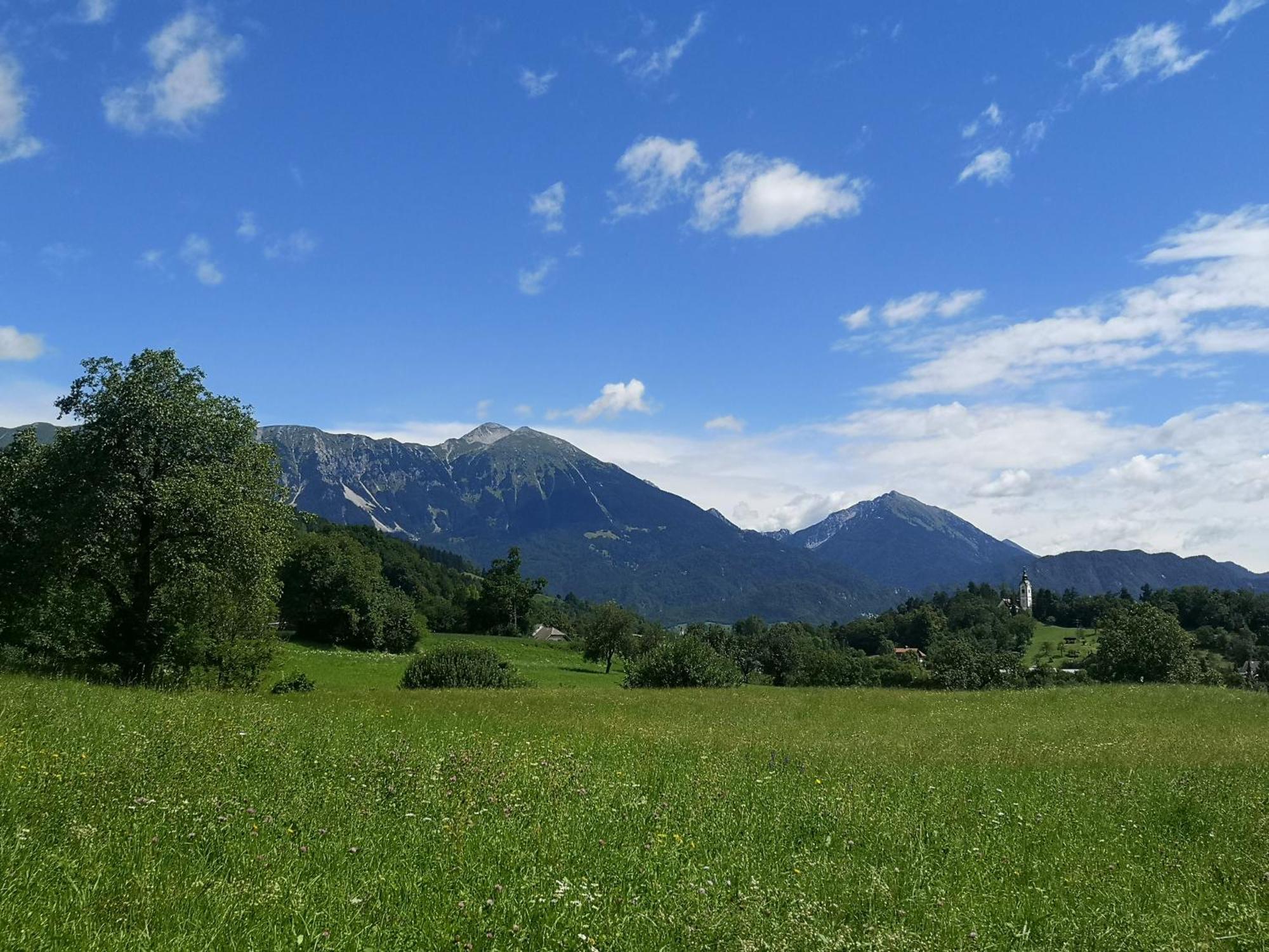 Apartmaji Volf Zgornje Gorje ภายนอก รูปภาพ