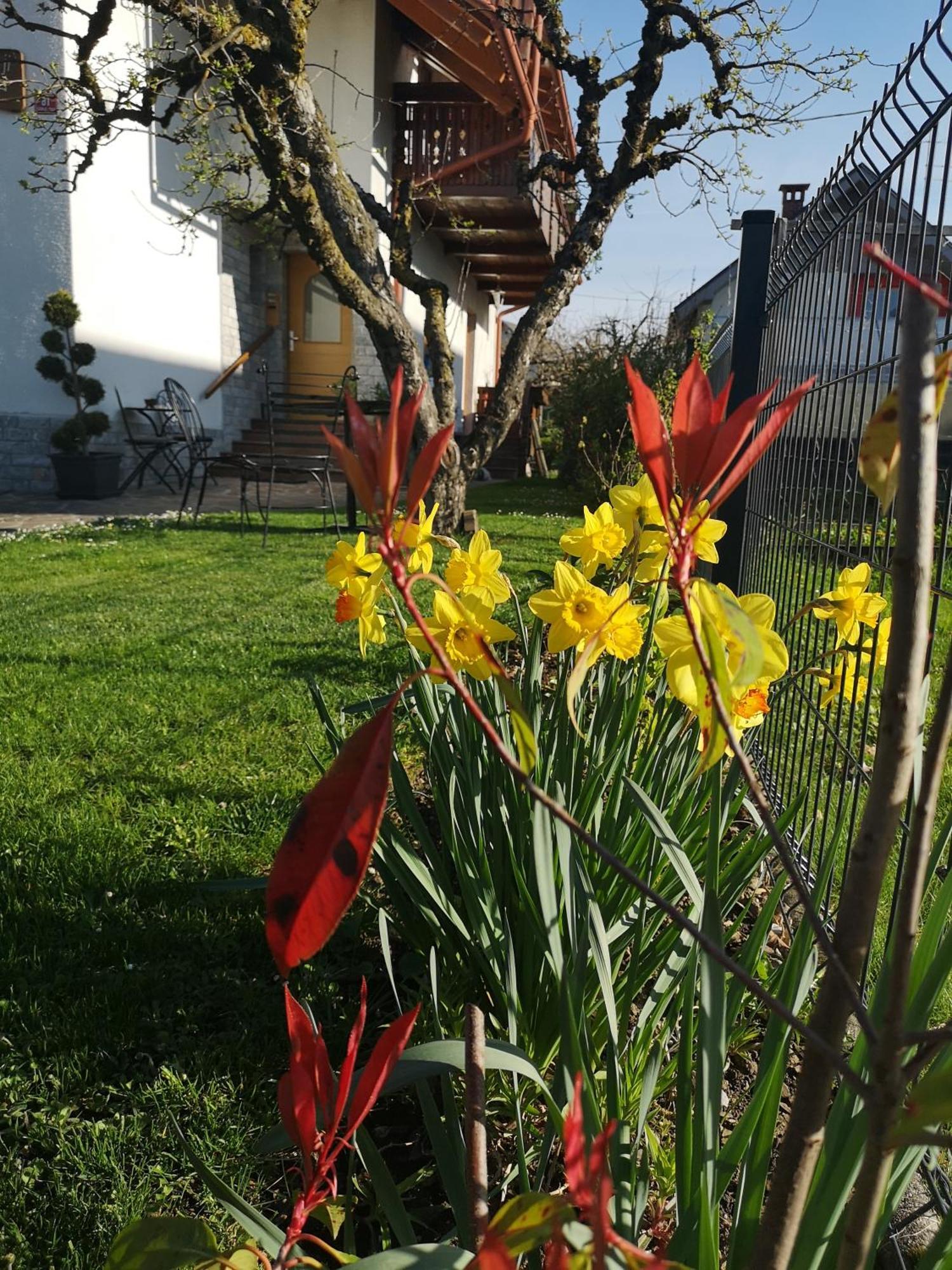 Apartmaji Volf Zgornje Gorje ภายนอก รูปภาพ