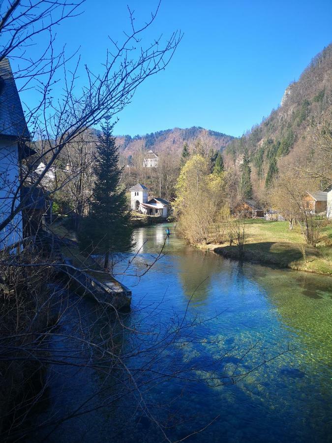Apartmaji Volf Zgornje Gorje ภายนอก รูปภาพ