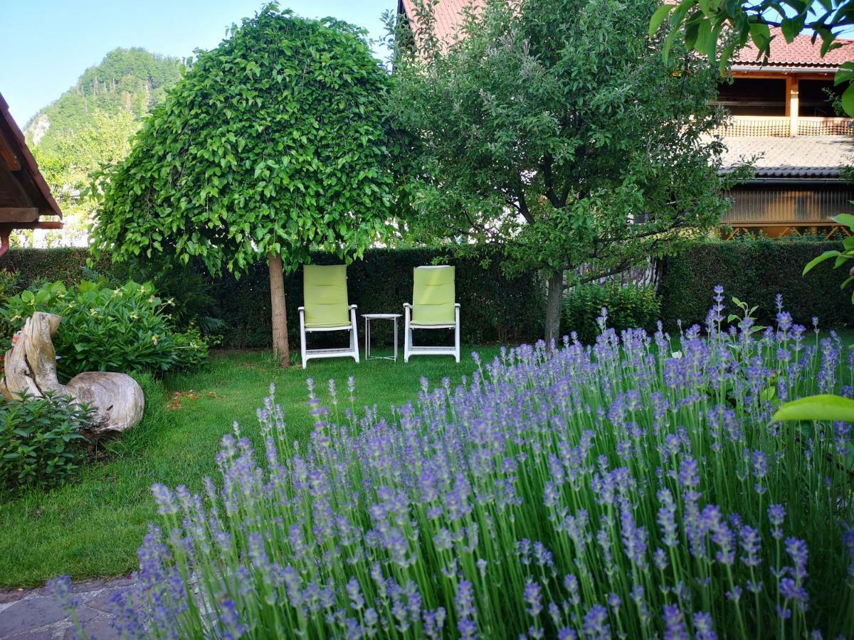 Apartmaji Volf Zgornje Gorje ภายนอก รูปภาพ