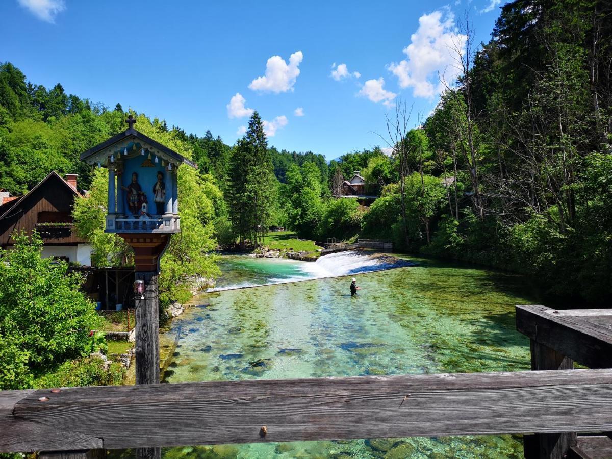 Apartmaji Volf Zgornje Gorje ภายนอก รูปภาพ