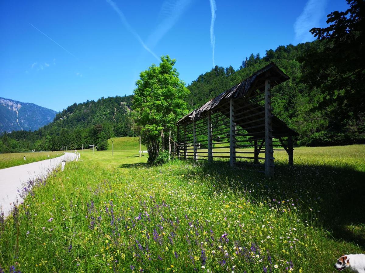 Apartmaji Volf Zgornje Gorje ภายนอก รูปภาพ